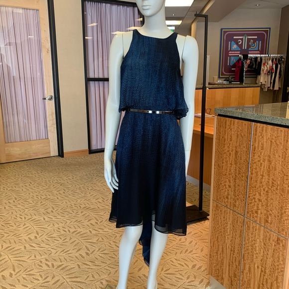 Halston Heritage hi low dress. - Picture 2 of 4